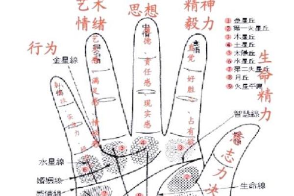 手相绝学透视：如何通过手掌走向成功