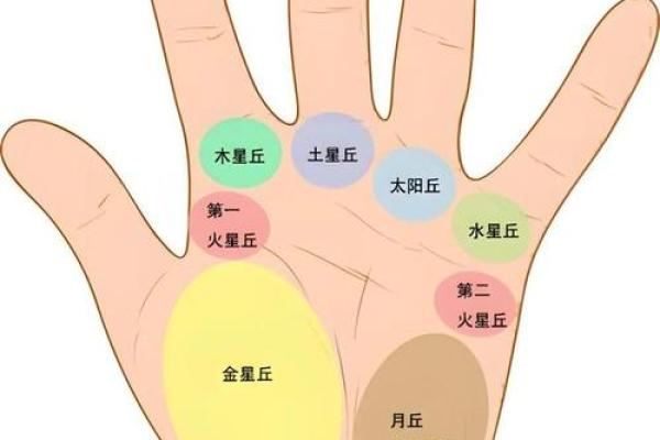 手相中的几条主要线及其解读揭秘