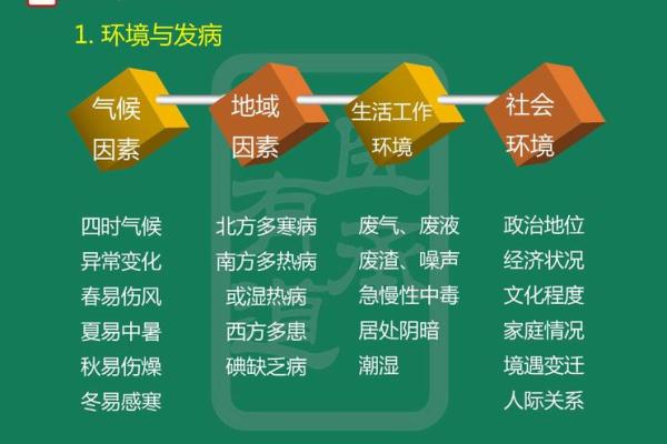 八字命理如何揭示健康隐患与疾病倾向