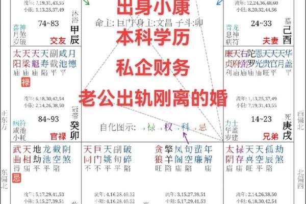 玄空排盘软件助力命理分析的科学性与准确性