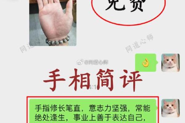 通过手相分析你的工作方向与成功机会