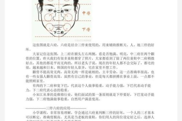 额头高的人面相运势如何影响人生