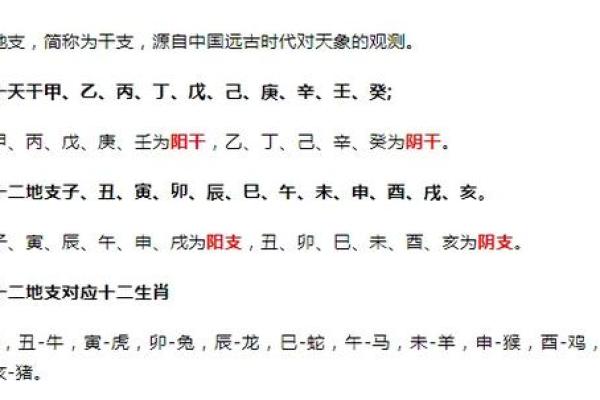 详解十大天干与生肖命理的关联性
