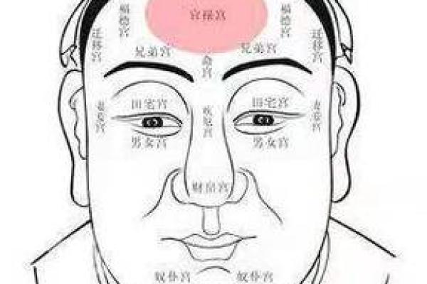 头部痣相如何影响性格与命运？探秘头顶长痣的含义