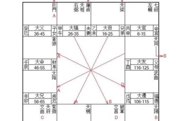 紫微排盘怎么看才能准确预测人生走向