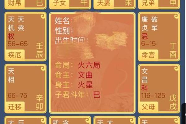 紫微排盘怎么看才能准确预测人生走向