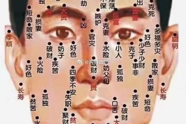 痣相与命运的联系：面部痣点分析全攻略