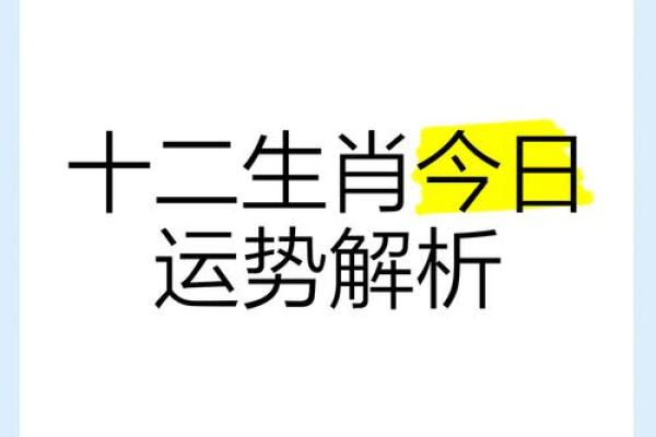 今日生肖运势解析：哪些属相运气旺盛，哪些需谨慎行事