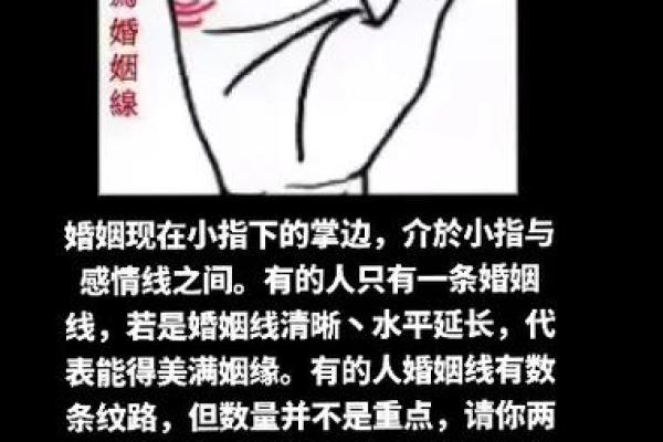 手相揭秘：如何通过婚姻线预测你的感情未来
