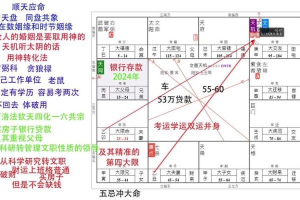 掌握紫微排盘基本方法，了解自己的命运密码