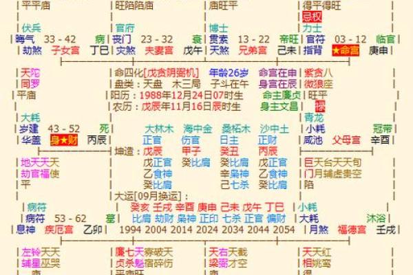 如何利用免费紫薇排盘了解个人运势