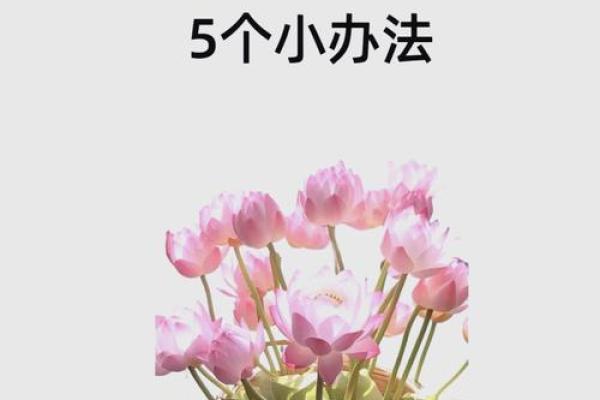 掌握农村院子财位风水助你财运亨通