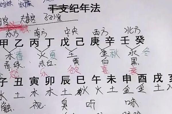 八字命理入门：学会看懂自己的生辰八字