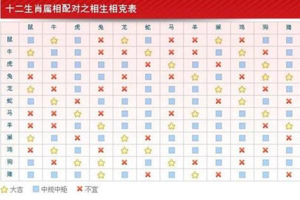 生肖马与哪些属相最配，事业与感情双丰收