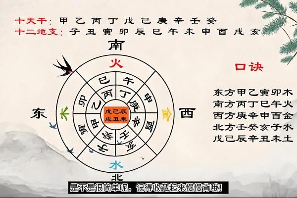 深入理解天干地支纪年，探索五行与年份的奥秘