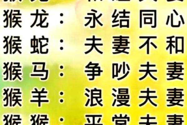 女猪男猴属相配对分析与建议