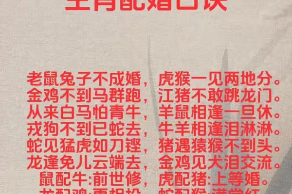 牛羊配对婚姻：幸福还是矛盾？