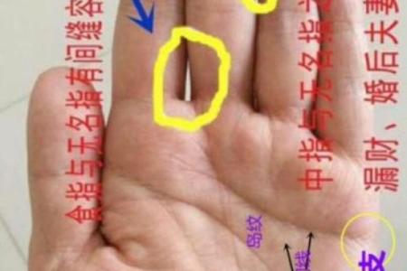手相中的几条主要线及其解读揭秘