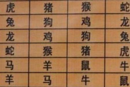 如何通过生肖相配提升两性关系的和谐