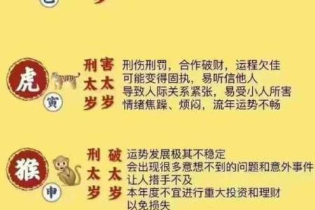 年命与命理：揭示不同年份的命运秘密