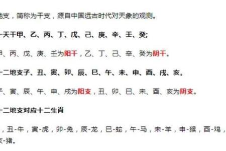 详解十大天干与生肖命理的关联性