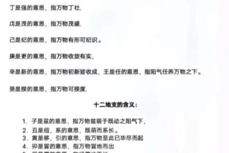 天干与五行的深层关联及其文化象征