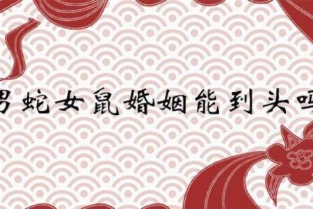 女蛇与男猴的婚姻匹配度分析 适合的相处之道