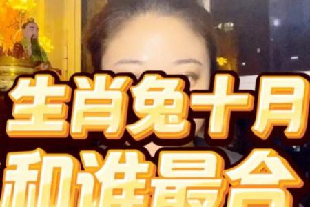 兔与哪些生肖配对最幸福