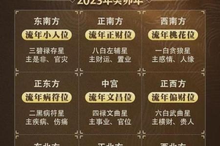 优化养殖场风水布局，提升财富运势