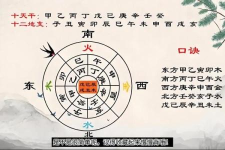深入理解天干地支纪年，探索五行与年份的奥秘