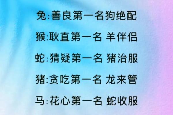 十二生肖的配对关系：哪些生肖最合适做伴侣
