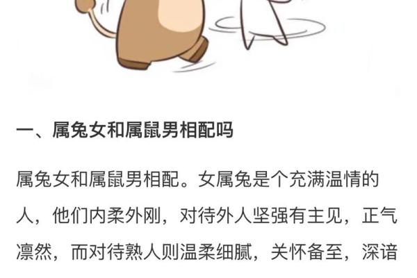 男兔与女兔的婚姻配对：优点与挑战并存的关系