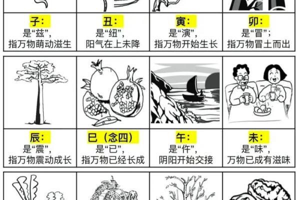 掌握天干地支的年份推算技巧与步骤