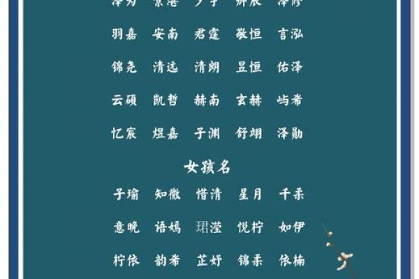 给宝宝起名的最佳建议与流行趋势