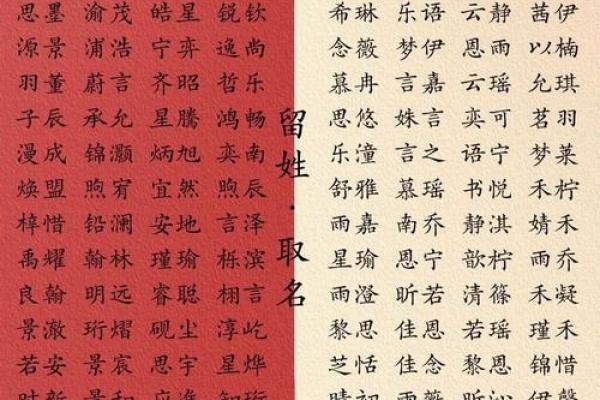 给宝宝起名的最佳建议与流行趋势