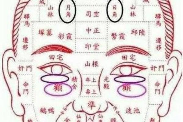 面相天庭凸显的性格特征与人生轨迹