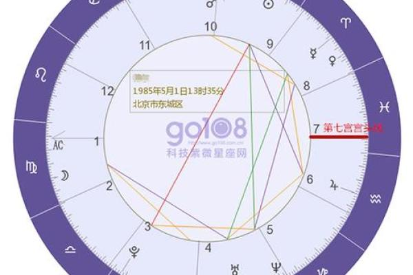 深入了解新浪排盘：揭示个人命运的星象密码
