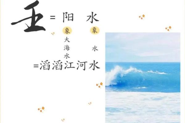 壬水命人的健康与情感：从命理角度分析