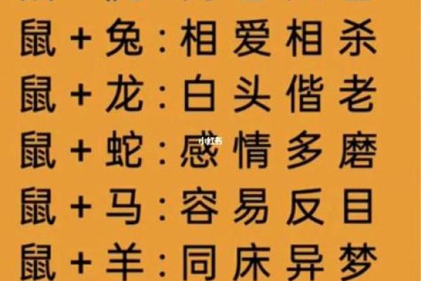 蛇与马的婚姻能否和谐？揭秘两者的性格差异与相配程度