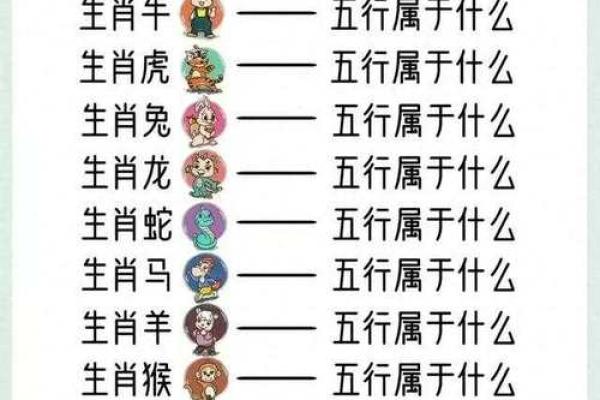 五行元素在十二生肖中的象征与影响