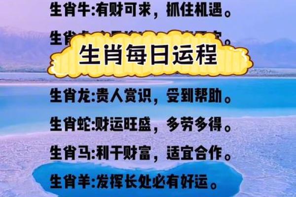 今日十二生肖运势解析，掌握每日运势变化