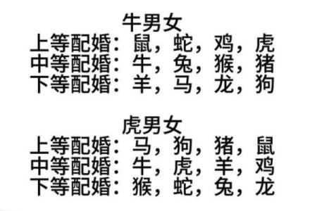 十二生肖的配对关系：哪些生肖最合适做伴侣