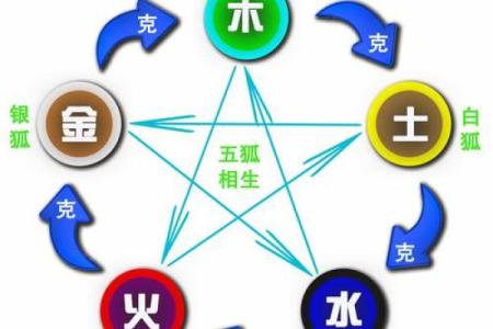 揭秘金命和火命的命理特征与影响