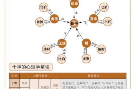 生辰八字免费查十神解析，帮助你了解命运走势