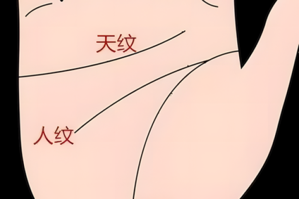 手相古书：揭示生命轨迹的古老指南