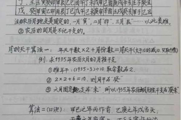 命理与华山：如何通过风水了解未来走向
