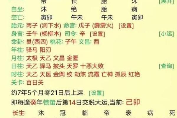 火鼠命的命理特征与事业发展