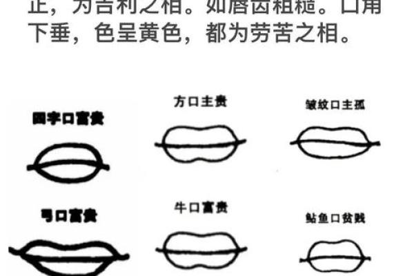 川字纹的面相解析与命运关系探讨
