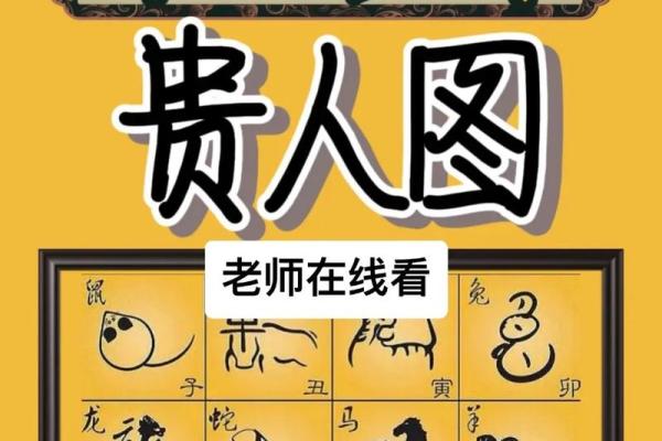 牛与哪些生肖最合适 搭配运势最佳解析