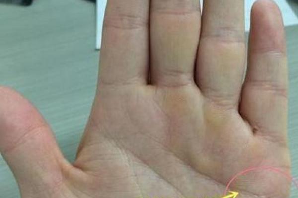 手相姻缘线详解：解读你的人生爱情轨迹